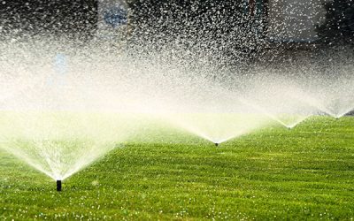 Melbourne Irrigation | PO Box 105, Park Orchards, VIC 3114 | Ben Cameron 1300 656 323
